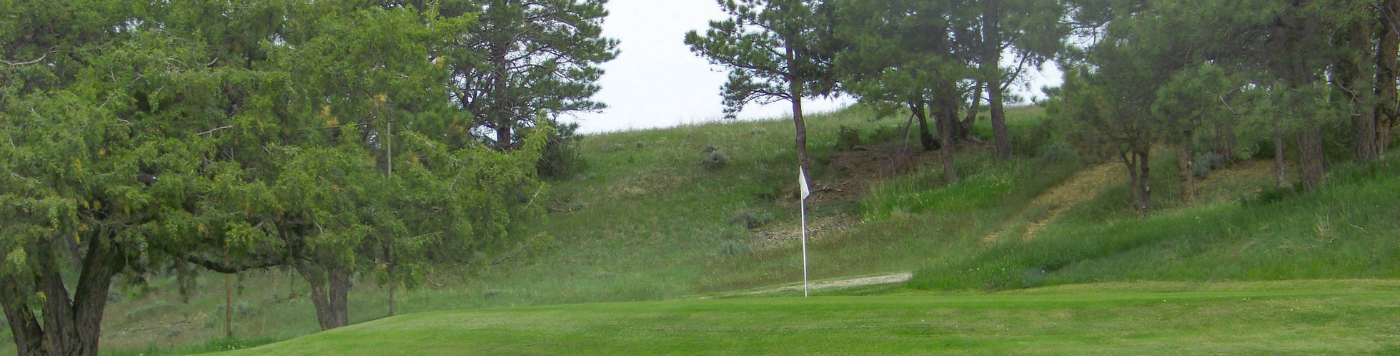 Cedar Pines Golf Course Image